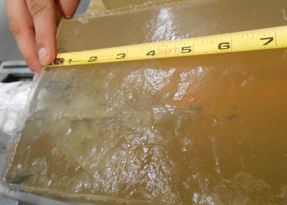 Speer Gold Dot .223 round after glass…6.5″ of penetration Speer Gold Dot .223 round after glass…6.5″ of penetration