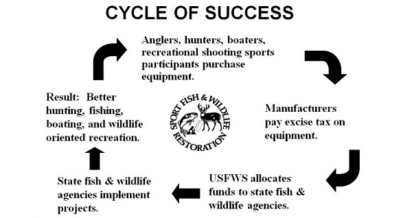 ODWCycleofSuccess