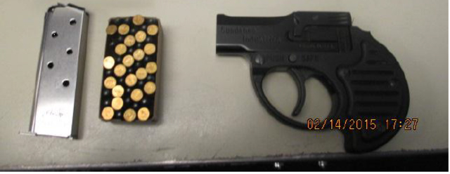 hopkinsgun_1424038507016_13306646_ver1