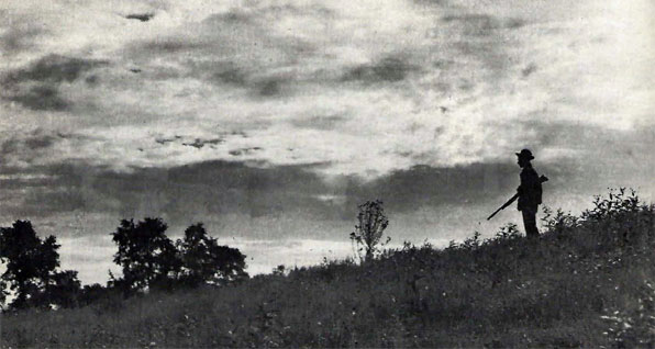 Ohio Conservation Bulletin