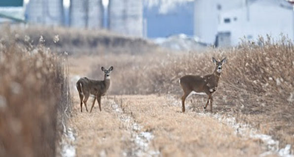 Ohio Landowner and Hunter Access Partnership