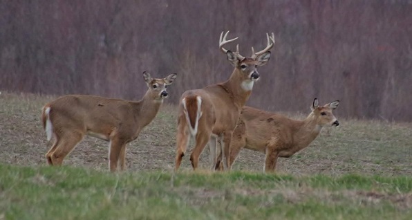 952aa1e1-49b0-4dd7-8003-e057c8186a47