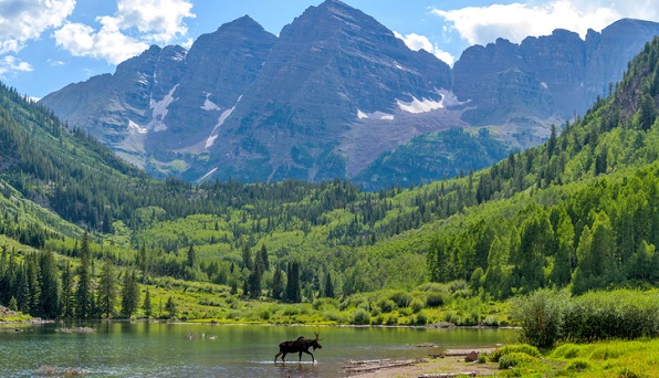 Mountains Moose