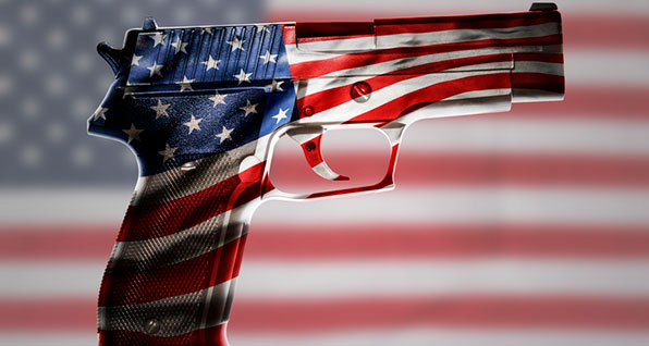 largest gun owner survey ever