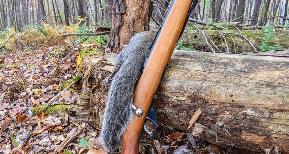 ODNR Division of Wildlife acquires 492 additional acres at Woodland Trails