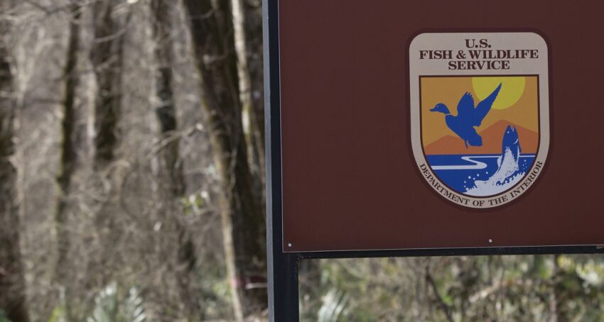 U.S. Fish and Wildlife Service sign next to forest