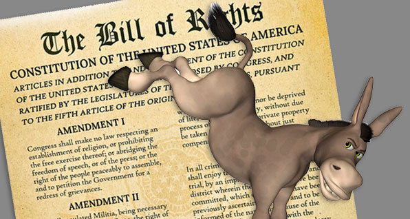 donkey-kicking-constitution
