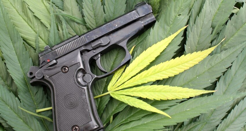 gun-marijuana-leaf