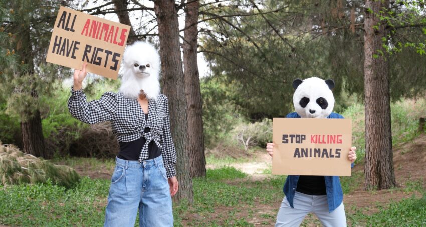 animal-rights-activist