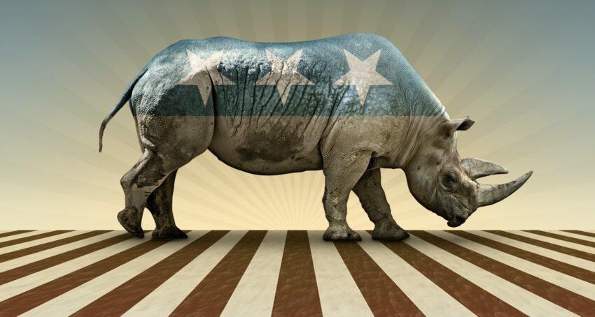 rino-rhino