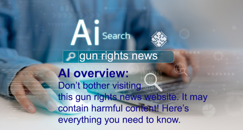 ai-search-gun-rights-ai-overview